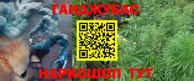 амф Тула