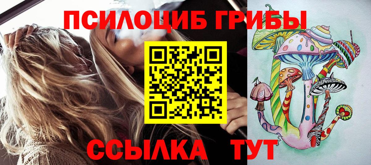 закладки  Галлюциногенные грибы MAGIC MUSHROOMS  Новотроицк  Вход с VPN  Галлюциногенные грибы GOLDEN TEACHER 