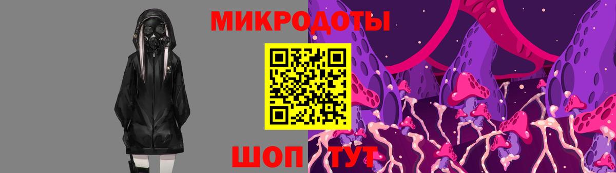 Псилоцибиновые грибы Psilocybe Новотроицк
